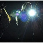 apocalyptica (167)