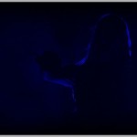 apocalyptica (27)
