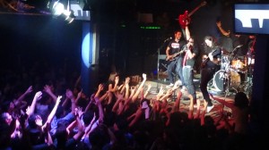 Salamandra 12 años