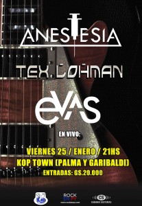 afiche_25_01_2013