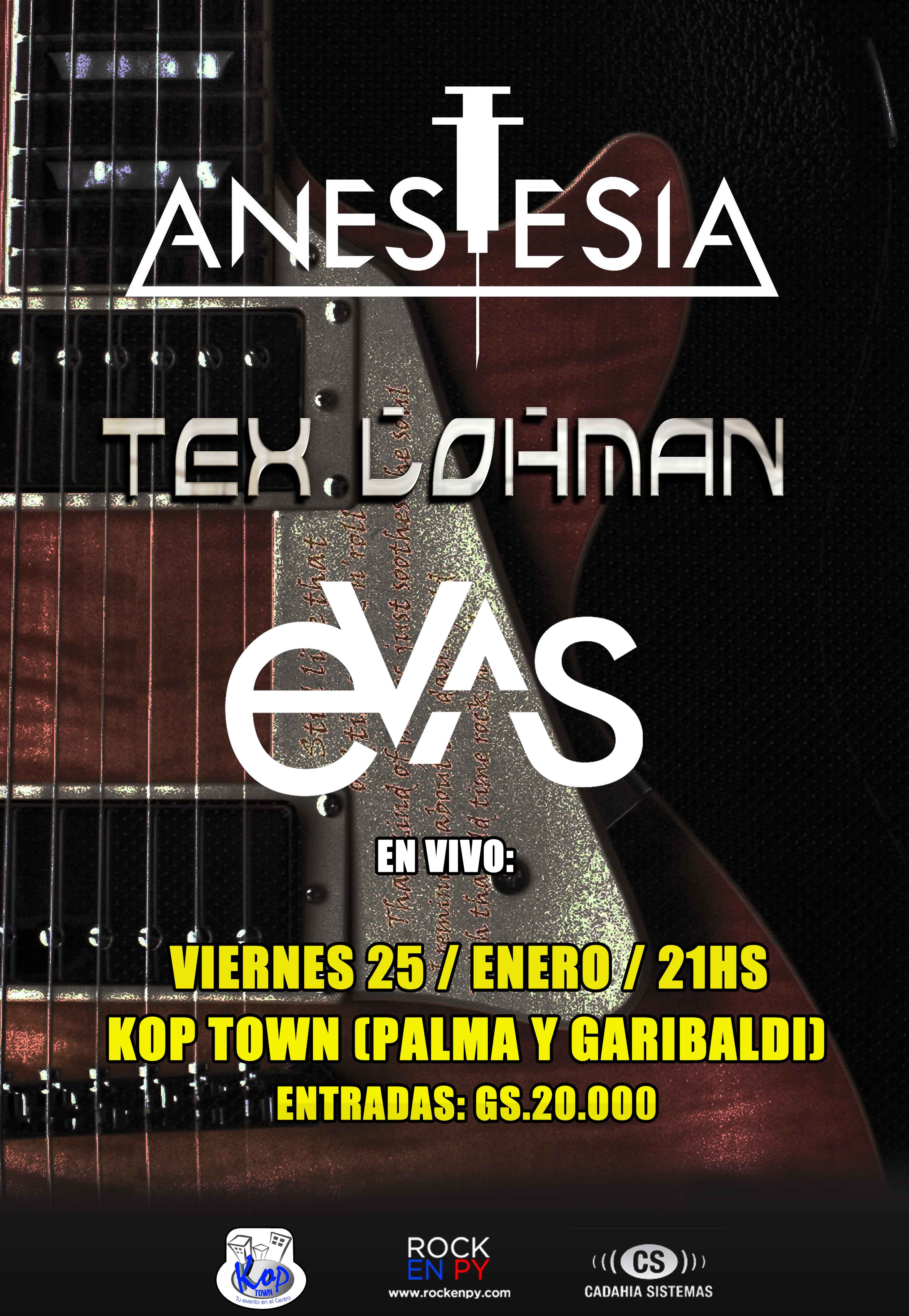 afiche_25_01_2013