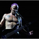 RHCP_Py_RossNoirche (10)