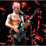 RHCP_Py_RossNoirche (9)