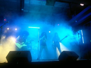 elejidos 1