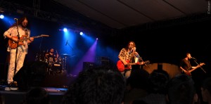 Salamandra0