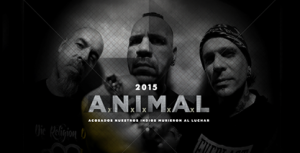 animal