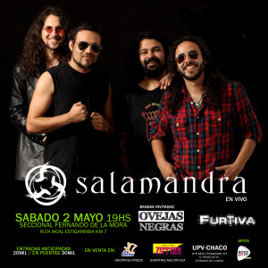 salamandrainsta