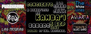 Concierto a beneficio de Kambai