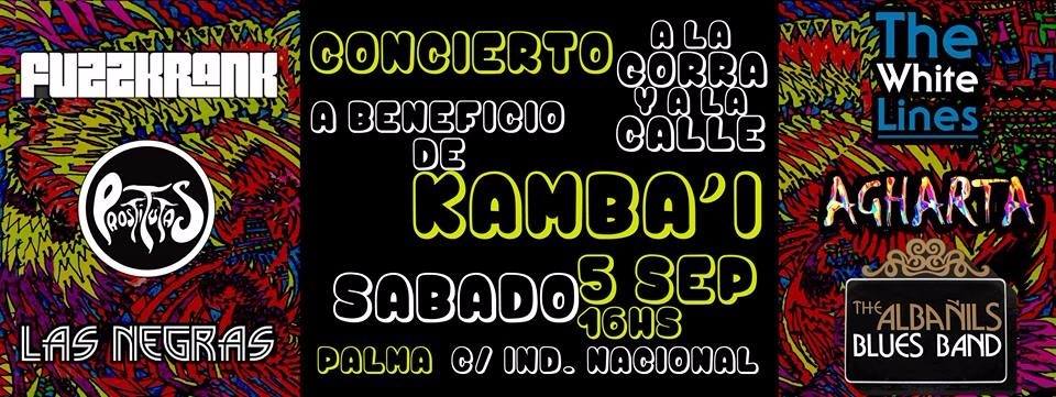 Concierto a beneficio de Kambai