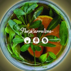 The Carrulims