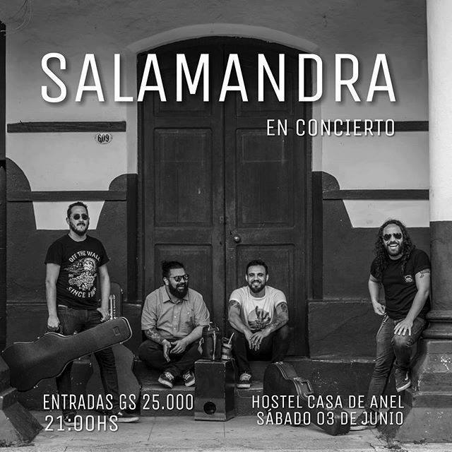 Salamandra en Concierto